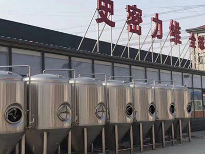 兰坪精酿啤酒设备厂—市场规模与跨界新需求